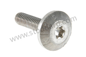TORX SCREW  (PAF009388)