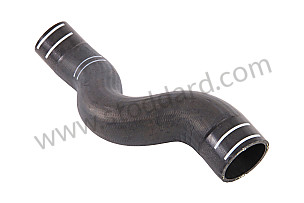 HOSE  (99610674174)
