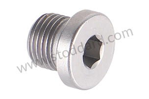 SCREW PLUG  (99906303301)