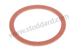 SEALING RING for T-V only (91110096500)