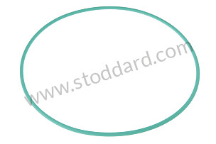 O-RING  (99970703240)
