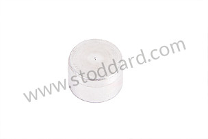 PLUG 13 X 8.5 MM (91110118200)