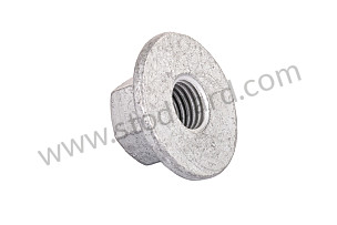 HEXAGON NUT  (99908421501)