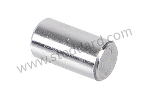 STRAIGHT PIN  (99730180100)