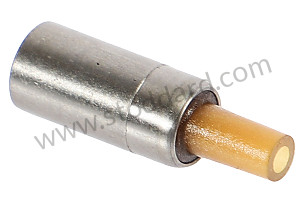 SPRAY NOZZLE  (95810101700)
