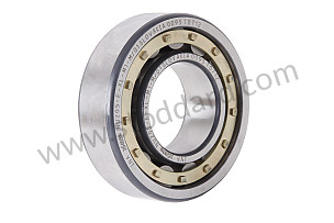 CYLINDRICAL-ROLLER BEARING  (99911019400)