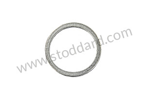 SEALING RING  (99A000173537)