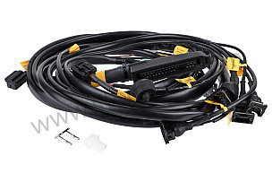 WIRING HARNESS - DME - CONTROL UNIT / IGNITION BOX  (A91161217309)