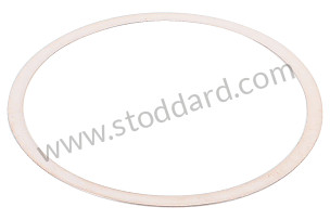 SHIM  (016311391F1)
