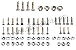 Stainless Door Panel Screw And Washer Set. One Kit Per Car. All 356.  (NLA53100300)
