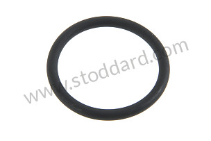 O-RING  (A90110894300)