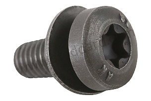 PAN-HEAD SCREW 5X12 MM (94339704500)