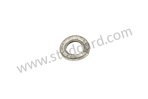 LOCK RING  (N0120361)