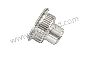 SCREW PLUG  (95110715301)