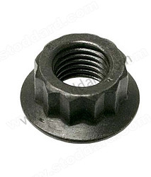 Engine Block Nut  (95910117200)