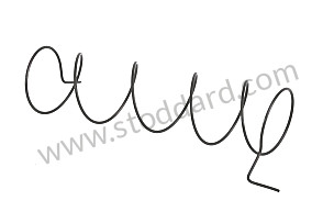 COMPRESSION SPRING  (016311859C)