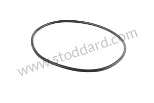 SEALING RING  (0169973948)