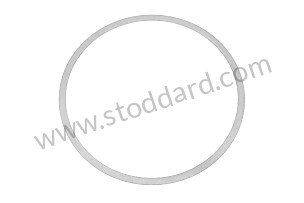 SEAL RING 100 X 109 MM (021101341A)