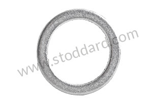 SEALING RING  (N0138063)