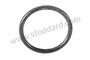 SEALING RING  (021119125A)