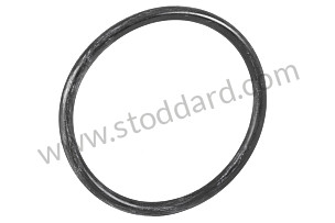 SEALING RING  (038121119B)