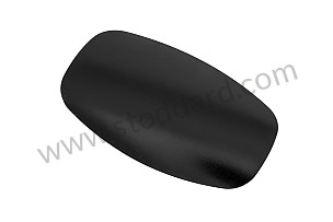 Fuel Door  (99350403301GRV)