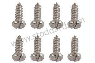 Threshold Seal U-Channel Screw Set For 356  (NLA55100300)