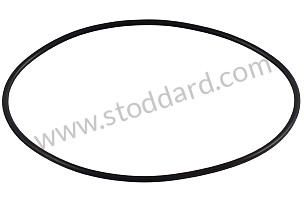 SEALING RING  (PCG501291A)