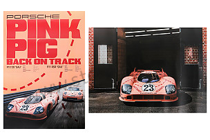 Pink Pig 917 Poster Set 20 X 27.25 Inches  (WAP0924500M917)