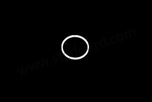 SEALING RING  (1262770855)