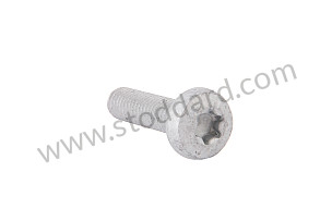 OVAL-HEAD SCREW  (99907309501)