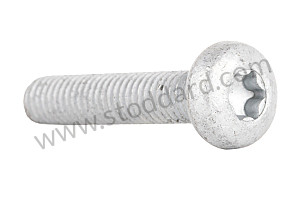 OVAL-HEAD SCREW  (99907311001)