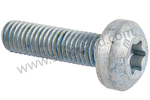 OVAL-HEAD SCREW  (99907317809)