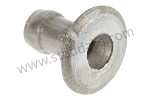 CLINCH PIN  (99919021530)