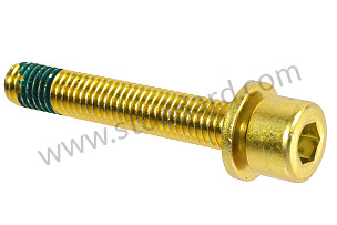 SCREW  (99921808202)