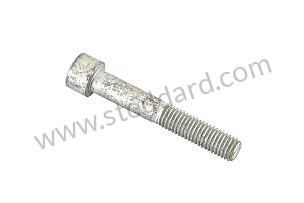 PAN-HEAD SCREW  (99951004101)