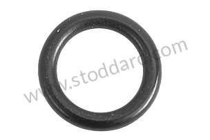 O-RING  (99970116341)
