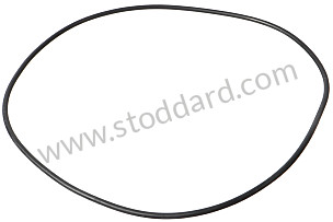 O-RING  (99970174540)