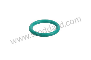 RUBBER O-RING  (99970178940)