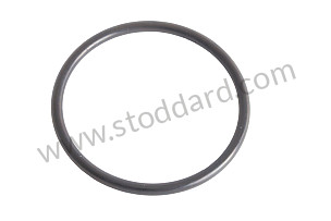 O-RING  (99970195140)