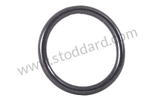 SEALING RING  (99970196040)