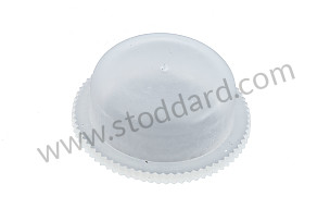 Plastic Plug In Luggage Compartment Floor 19mm 911 1974-89 930 19 MM (99970309840)