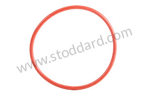 O-RING  (99970703540)