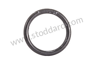 O-RING  (99970709440)