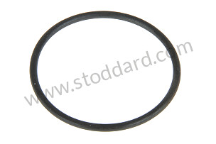 O-RING  (99970713840)