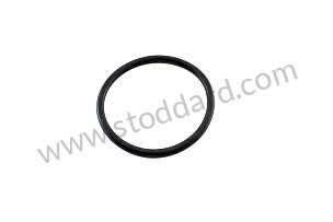 O-RING  (99970720640)