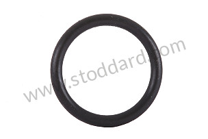 O-RING  (99970732040)