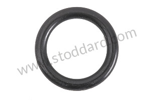 O-RING  (A99970734640)