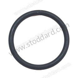 Rubber O-Ring For Camshaft Position Sensor 17,05 X 1,78 MM (99970740440)