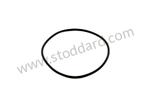 O-RING  (99970746840)